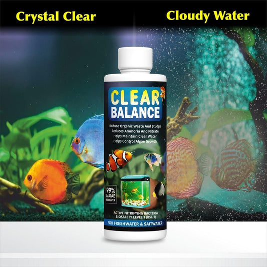 🐠 Clear Balance Fish Tank Water Purifier (120ml, Pack of 2)